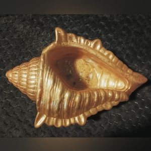 Golden Shell Holder